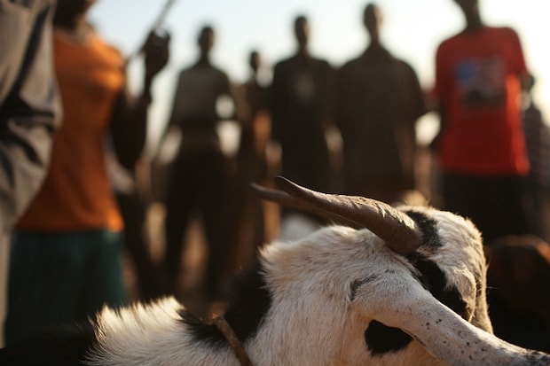 Bu Neyin Kafasi Sizi Hayret Deryalarina Surukleyecek Dunyanin En Ilginc 15 Evliligi
