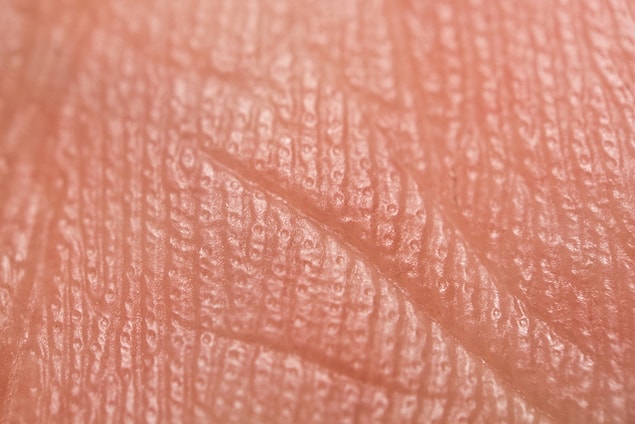 17. Fingerprint