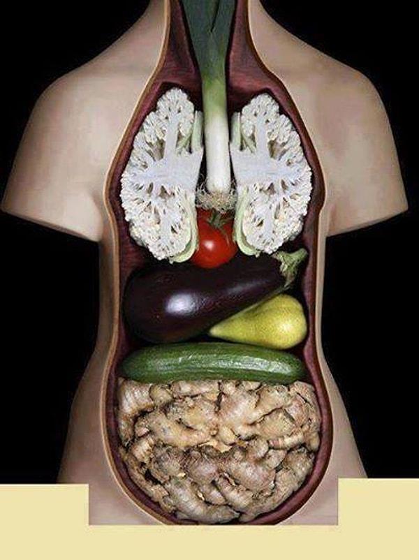 Sebzeler benzedikleri organa iyi geliyormuş değil mi?