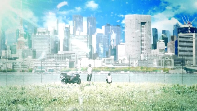 11. Zankyou no Terror