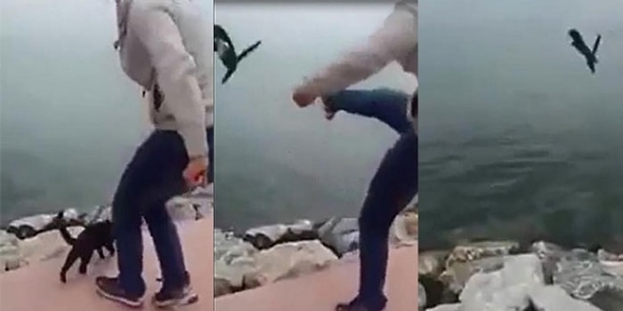 Boğazına İp Bağladığı Kediyi Tekmeleyerek Denize Attı