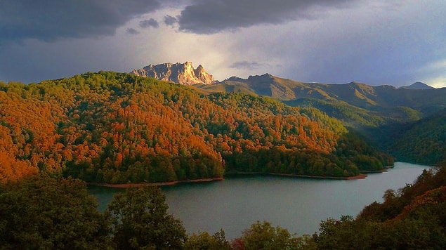 7. Azerbaycan'ın Tovuz ve Goygol şehirlerinin temelini Almanlar oluşturmuştur. Daha önce onların adı ise Traubenfeld ve Yelenendorf'du