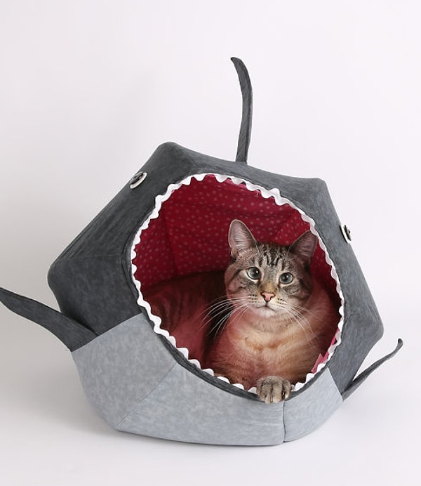 3. Домик-акула