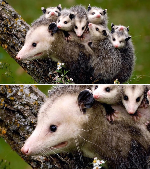 10. "Кажется, я забыла выключить плиту!"