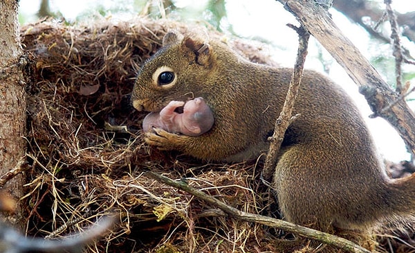 18. "Какой же ты маленький и беззащитный!"