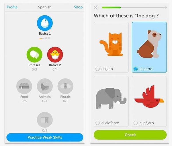 3. Duolingo