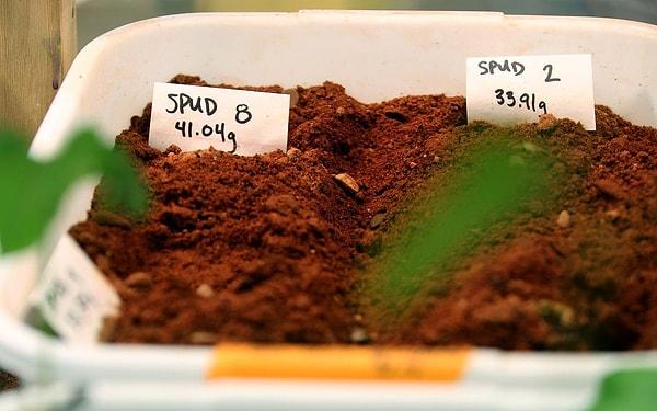 11. Mars kolonisi umut verici gelişme: Toprak tarıma elverişli