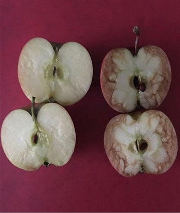 "Elmaların her birini ikiye böldüm. Nazikçe yaklaştığımız elmanın içi berrak, taze ve suluydu."