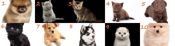 Правильные ответы тут! 😎