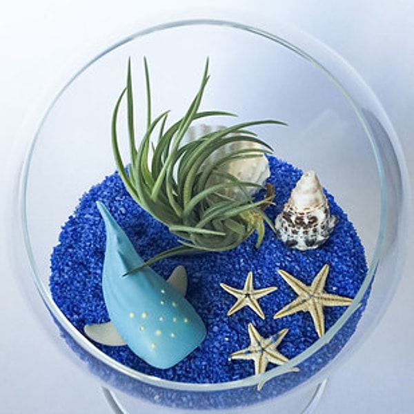 5. Террариум с морской темой