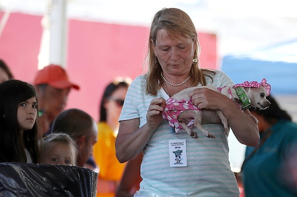 10. Пес "Драгоценный" из г.Петалума, Калифорния,