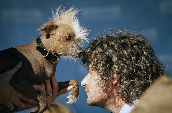 9. Член жюри Нил Готлиб и пес Айк из г.Петалума, Калифорния.