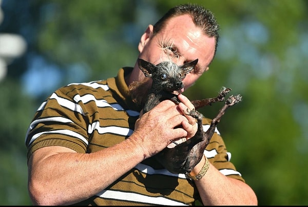 1. И, наконец, победитель конкурса "Свипи Рэмбо!"