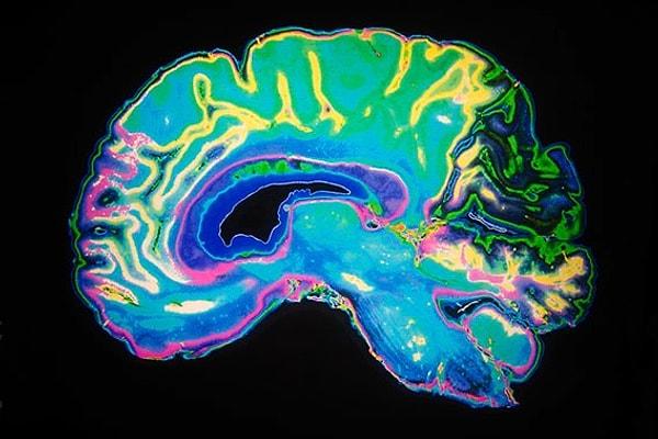 Beynin 12 bölgesinin, 0.2 saniyelik görsel temaslarla, aşk duygusunu tetikleyen birçok kimyasal ve hormonu serbest bırakmak için birlikte çalıştığı keşfedilmiş.