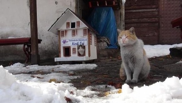 Kışın soğukta üşümesinler diye kentin kedileri için yapılan bu şirin mi şirin “Kedi Evleri” sizleri de gülümsetecek…