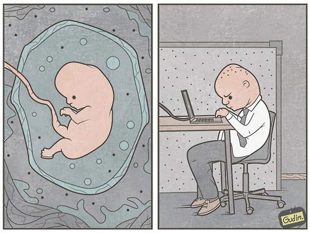 9. Embryo at work