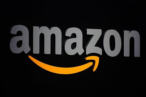 13. Amazon.com yapılan satışlardan 222,283 $ kazanıyor.