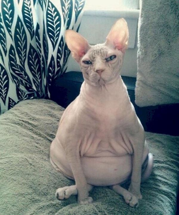 7. Списывать свои задвиги на бушующие гормоны