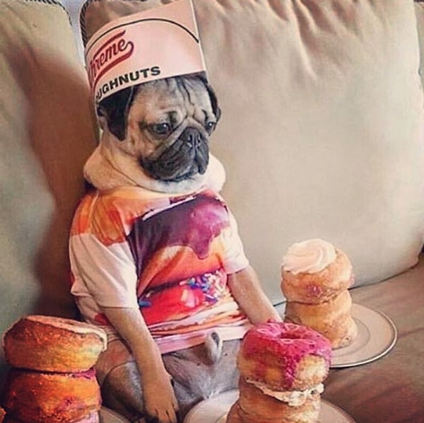 23. Понять, что совсем не понимаешь о чем тебе говорят, думая лишь о еде