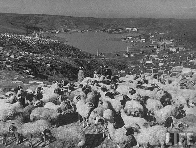 118. Halıcıoğlu / Bademlik (1940) Musevi Mezarlığı'ndan Haliç'e bakış.