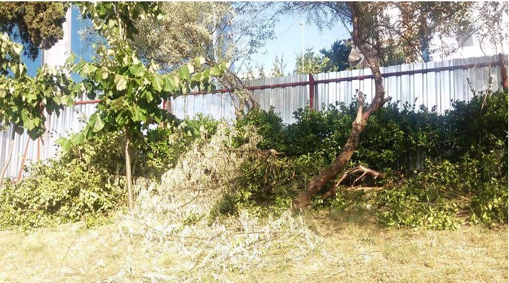 Ihlamur Parkı'nın Etrafı Panellerle Çevrildi, Mahalleli ve Çevreciler Ayağa Kalktı