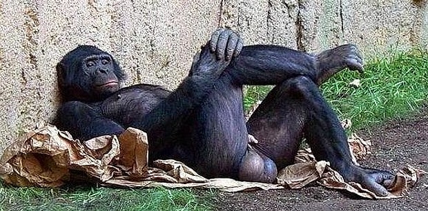 2016 da cozulme rekoru kiran 33 onedio testi