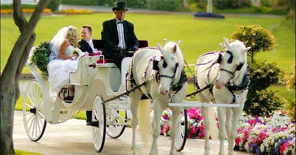 Bütçenize uygun ilk alternatif: At arabası kullanabilirsiniz. Lakin bu durumda kır düğünü olması şart!