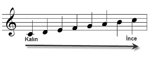 Gam