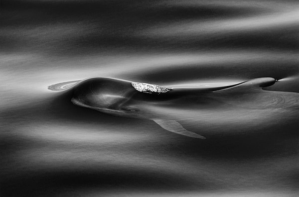 10. «Во время всех этих поездок… мне бесконечно приходилось ставить других людей в идеальную для снимка позицию, пока я мог только смотреть»