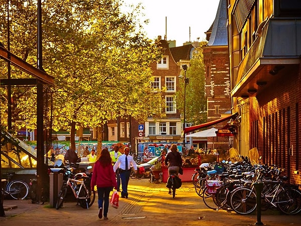 8. Нидерланды