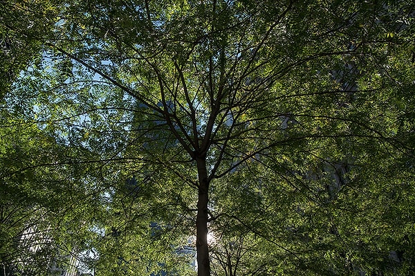 18. Всемирный торговый центр, Нью-Йорк, США