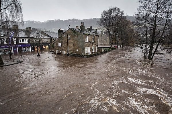 9. Стив Морган "Потоп 26 декабря"