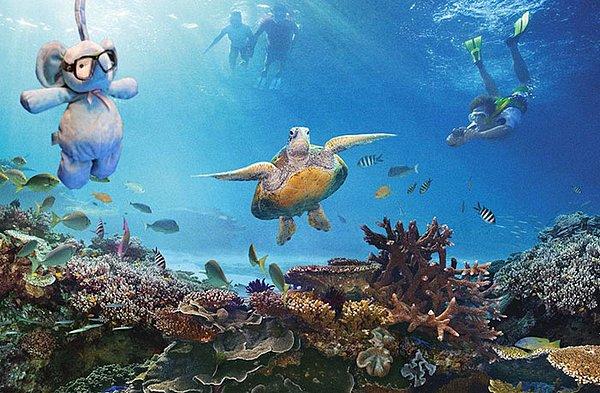 16. Büyük Set Resifi'nde belki Nemo, Dory ve diğerlerini de görmüştür.