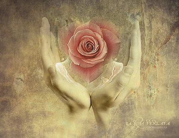 1. «Я узнала, что парень мне изменяет. Он не имел об этом ни малейшего понятия, поэтому я медленно разорвала его сердце на куски»