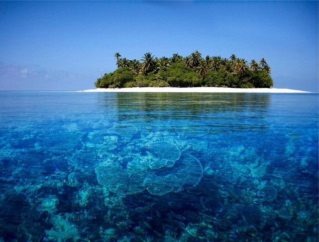 8.Panari Island