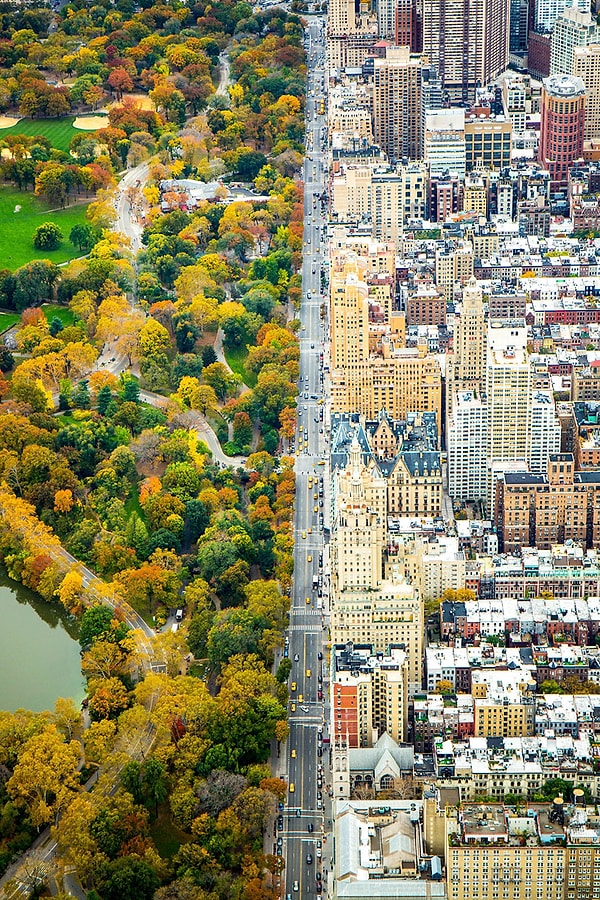 4. Специальное упоминание жюри в категории Города: Разделение, Манхэттен, Нью-Йорк, США