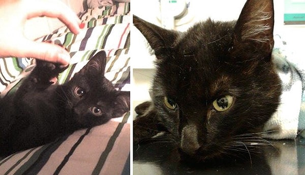 15. "Это его первое и последнее фото"