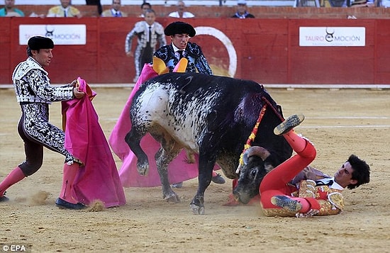 Ünlü Matador Victor Barrio Canlı Yayında Boynuz Darbesiyle Can Verdi