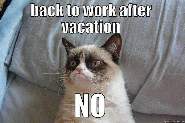 Aylarca yoğun bir iş stresi altında çalıştıktan sonra çıkılan tatil gibisi herhalde yoktur.