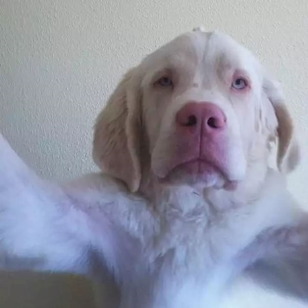 4. Утреннее селфи без макияжа