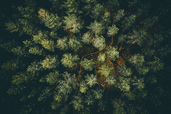 20. Гизинге, Швеция