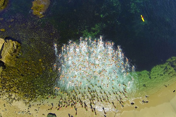 21. Пляж La Jolla Cove, Сан-Диего, штат Калифорния, США