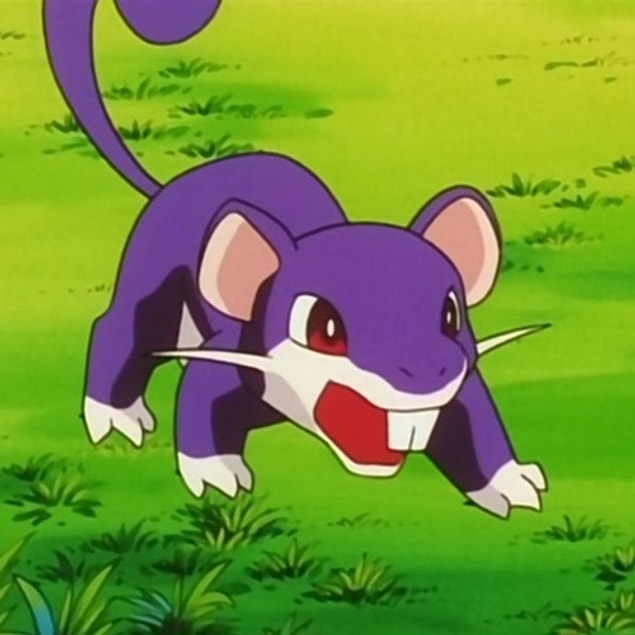 Rattata!