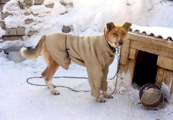 6. Люк Скайуокер, ты ли это?