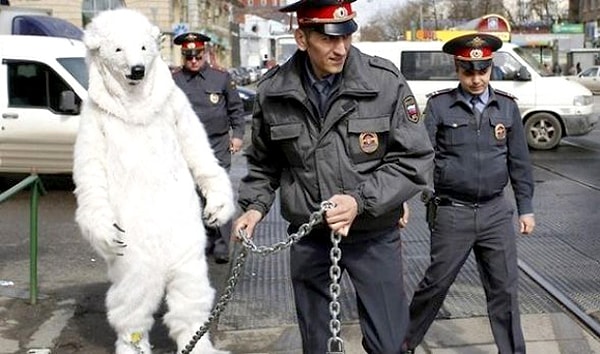 16. Попался за незаконную торговлю снегом? Нет регистрации?