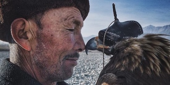 20 лучших фото, сделанных на iPhone, 2016