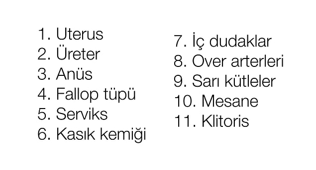 Tüm doğru cevaplar da burada: