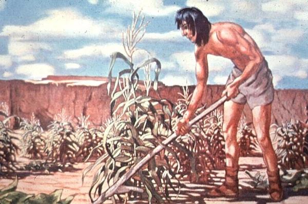 İnsanlık tarihindeki bir diğer büyük gelişme: Tarım