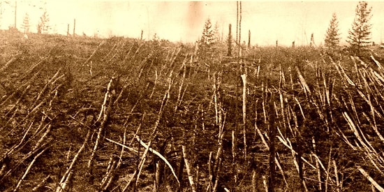 Тунгусский метеорит: главная загадка 20 века остается загадкой