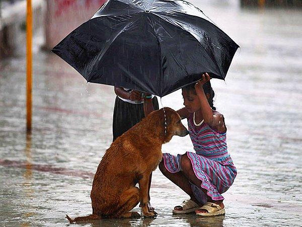 4. Mumbai'de şemsiyesiyle sokakta rastladığı köpeği yağmurdan koruyan çocuk.